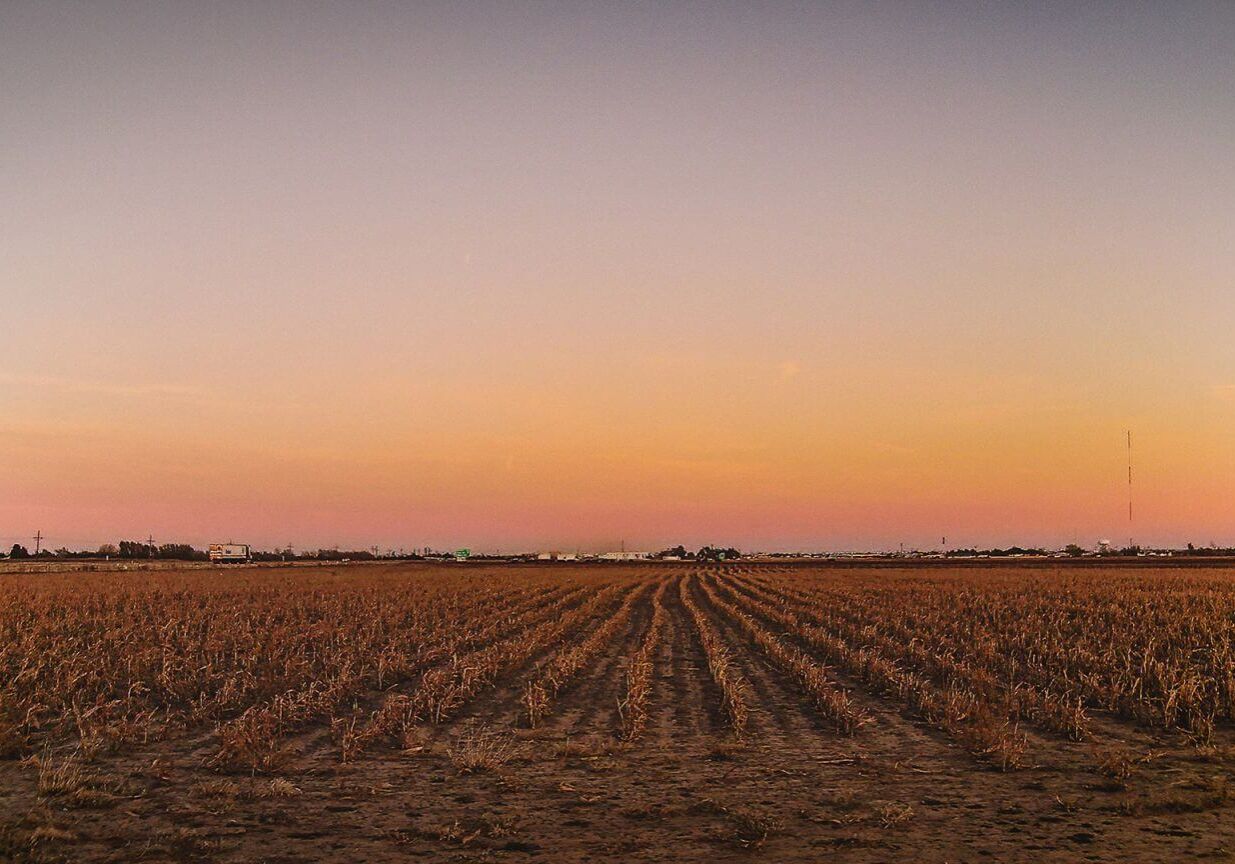 Texas farm fields
